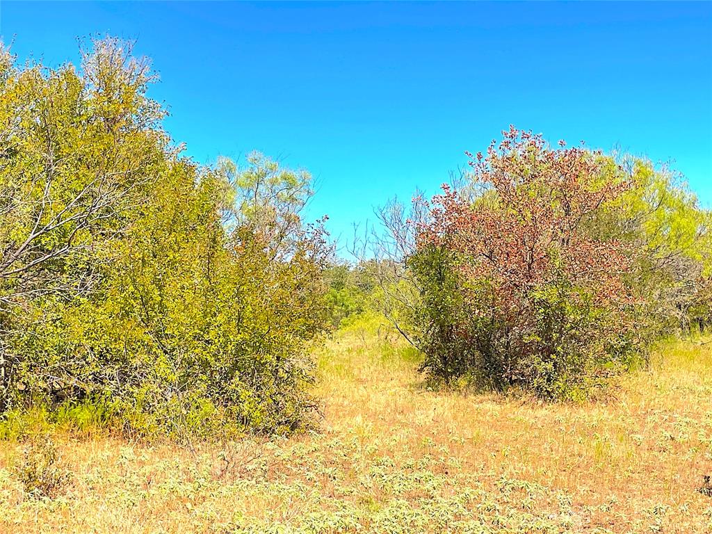 10840 281st Highway Perrin, TX 76486 - Photo 31 of 40 a view of ocean