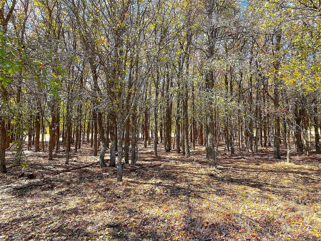 10840 281st Highway Perrin, TX 76486 - Photo 32 of 40 a view of outdoor space with trees