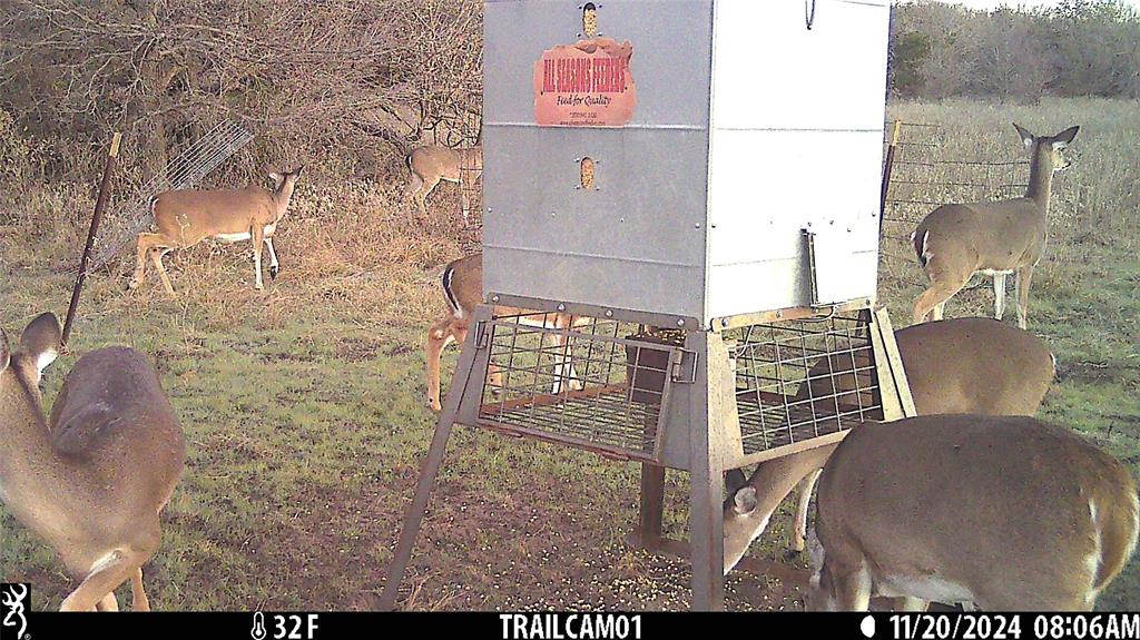 10840 281st Highway Perrin, TX 76486 - Photo 34 of 40 a view of a bathroom