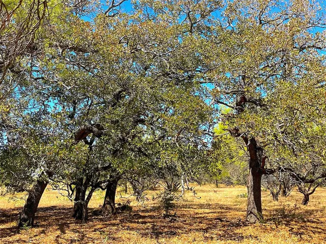 a view of outdoor space yard