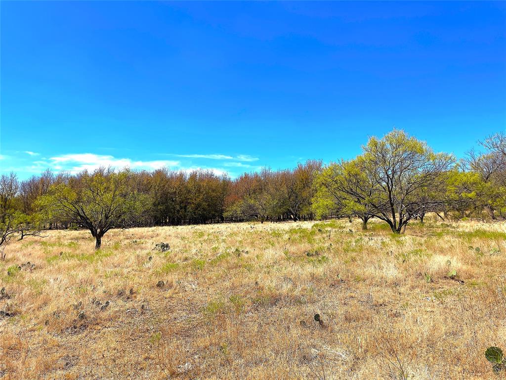 10840 281st Highway Perrin, TX 76486 - Photo 37 of 40 a view of ocean view with beach
