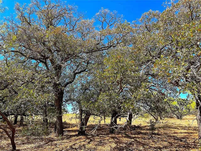 $312,900 | 10840 281st Highway, Perrin, TX 76486