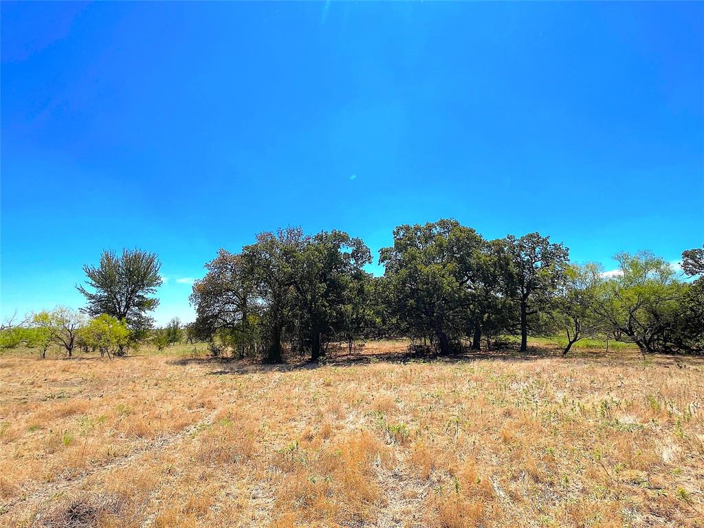 10840 281st Highway Perrin, TX 76486 - Photo 39 of 40 a view of outdoor space yard