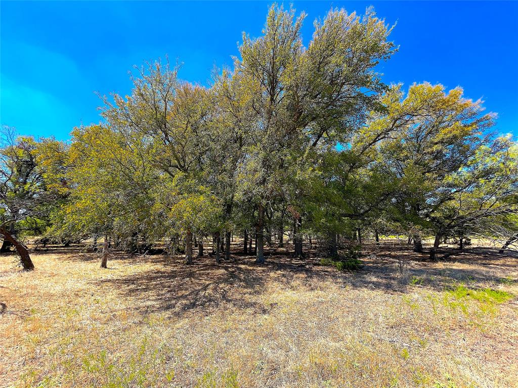 10840 281st Highway Perrin, TX 76486 - Photo 40 of 40 a view of outdoor space with swimming pool