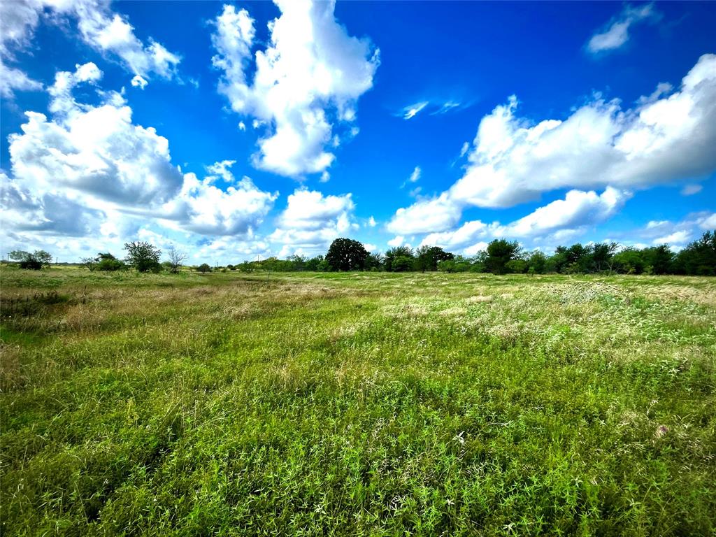 10840 281st Highway Perrin, TX 76486 - Photo 5 of 40 a view of a green field