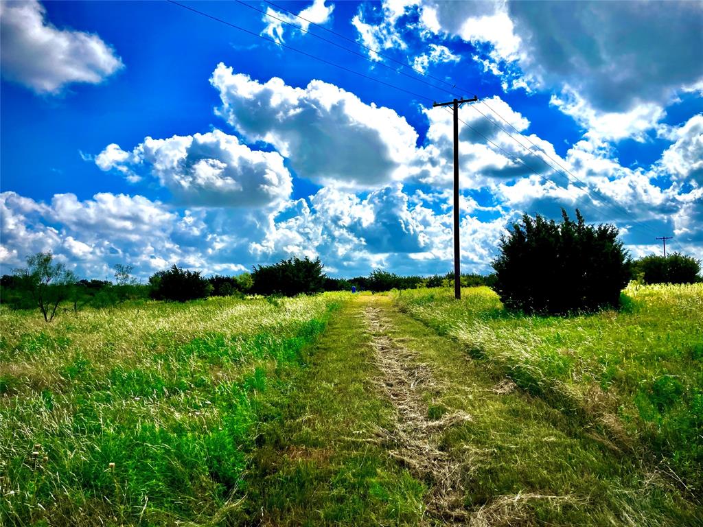 10840 281st Highway Perrin, TX 76486 - Photo 6 of 40 a view of a flower