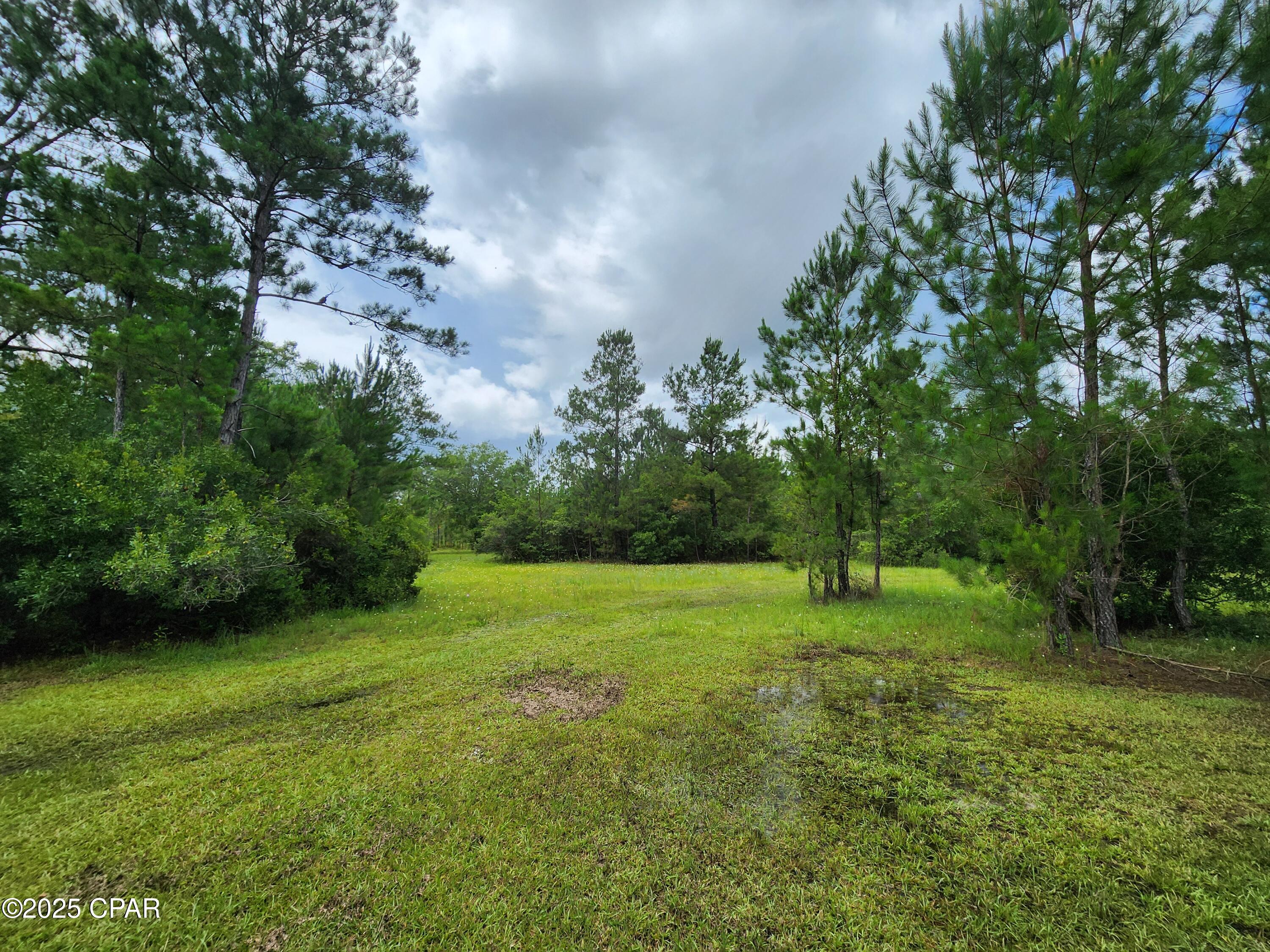 11136 Silver Lake Road Fountain, FL 32438 - Photo 20 of 30 Gallery Image 20