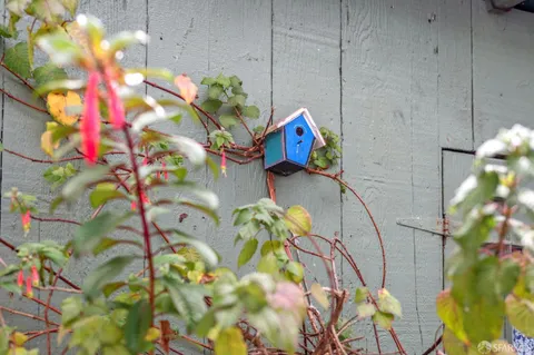 a kitchen with counter top a sink and appliances