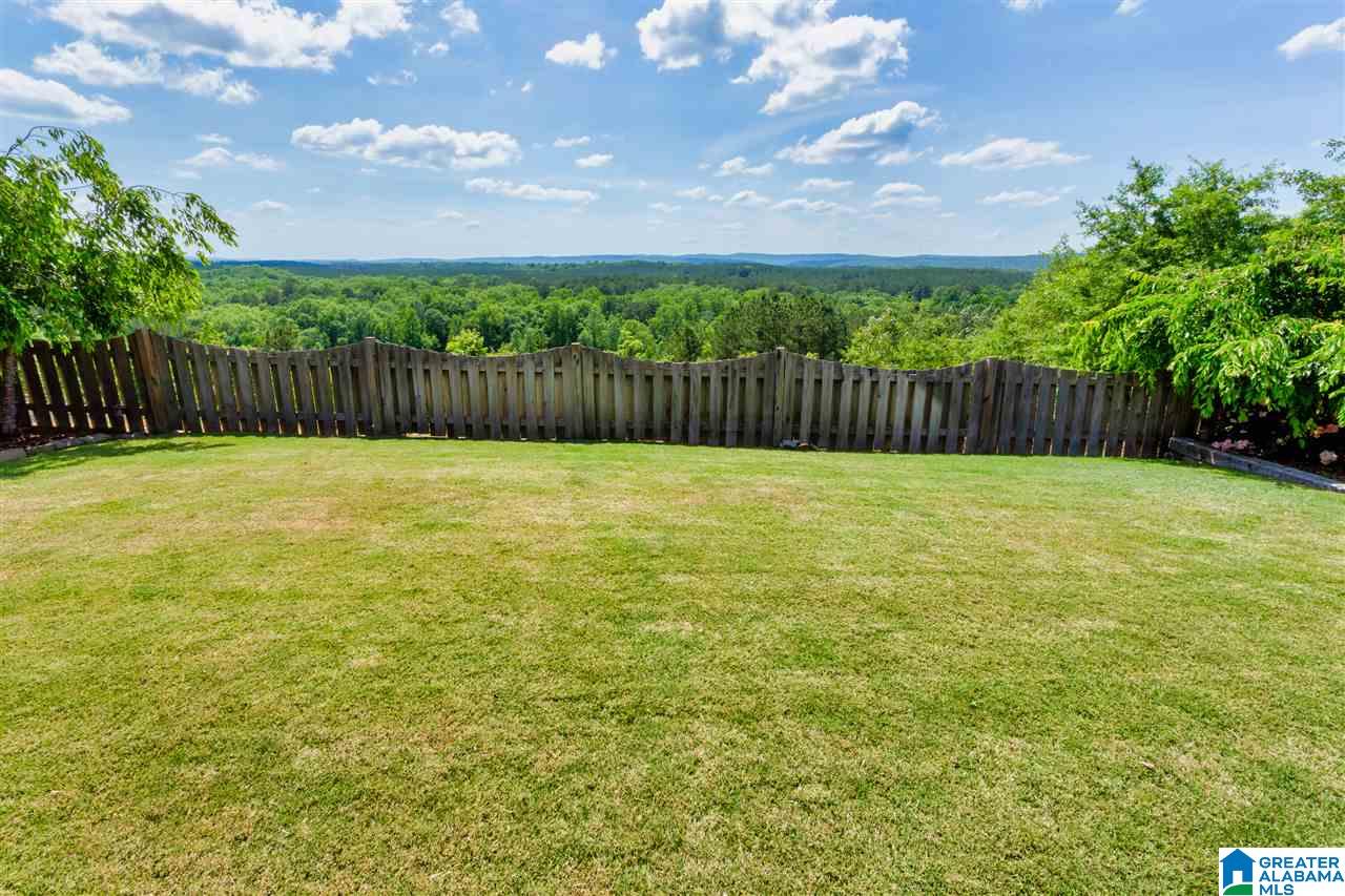 3151 Chelsea Park Ridge Chelsea, AL 35043 - Photo 38 of 41