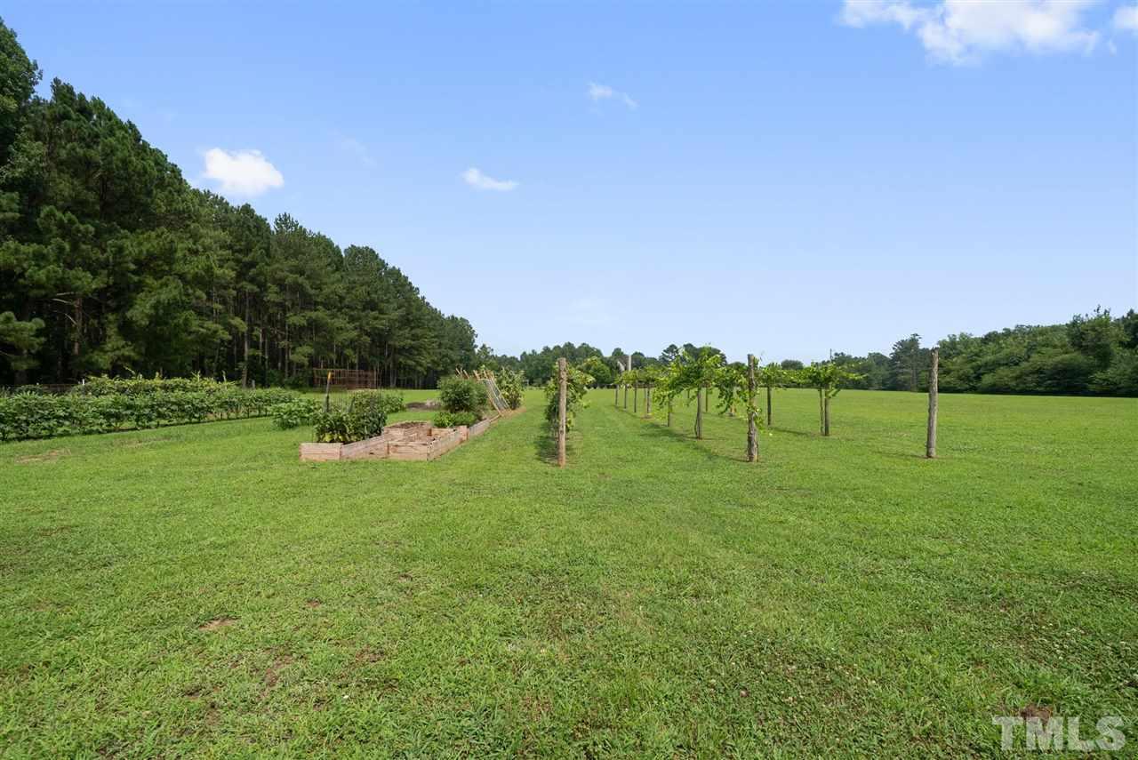 386 Old Murphy Road Zebulon, NC 27597 - Photo 26 of 28 Gallery Image 26