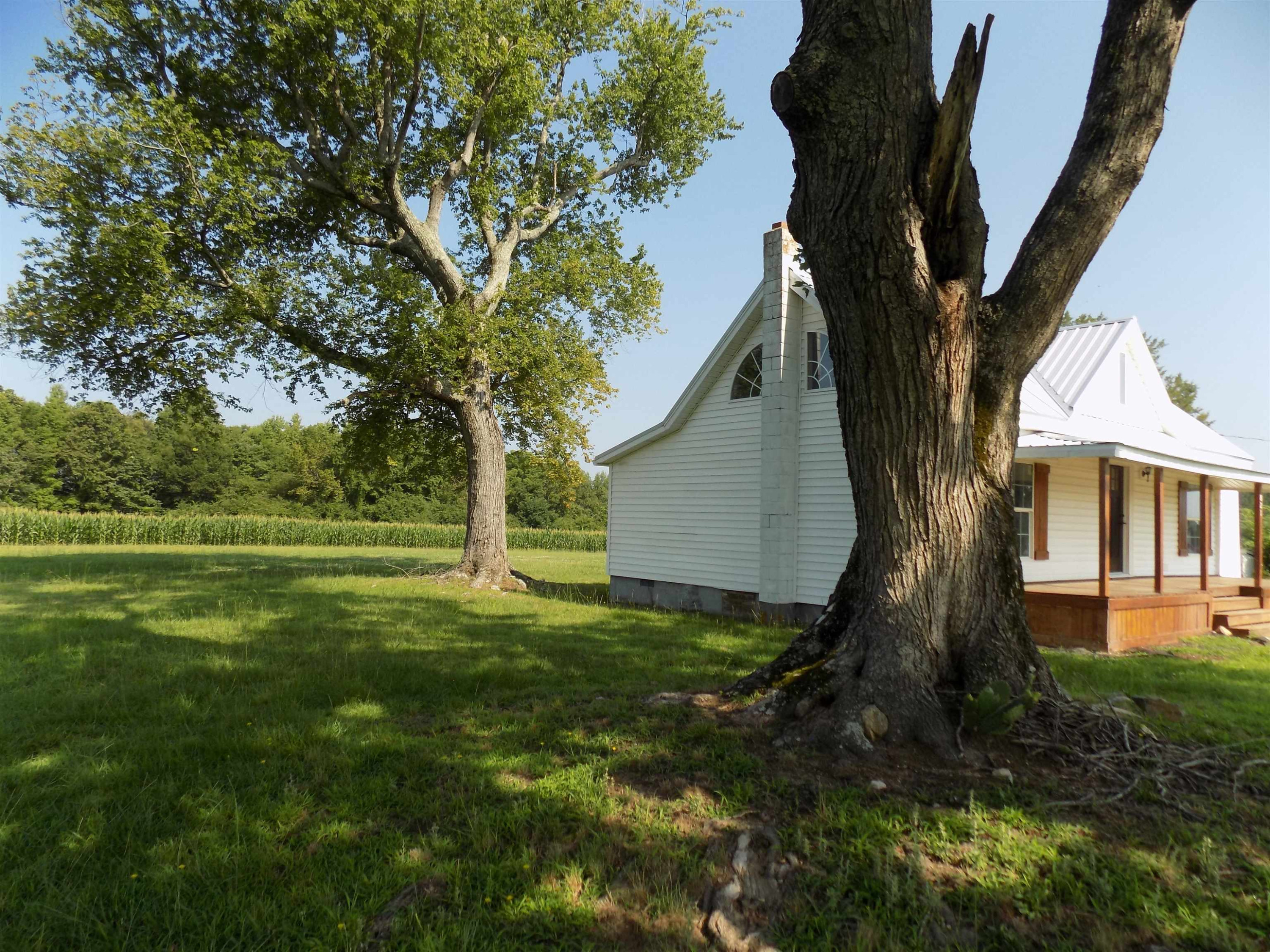 821 Greys Mill Road Louisburg, NC 27549 - Photo 3 of 33 a view of backyard with green space
