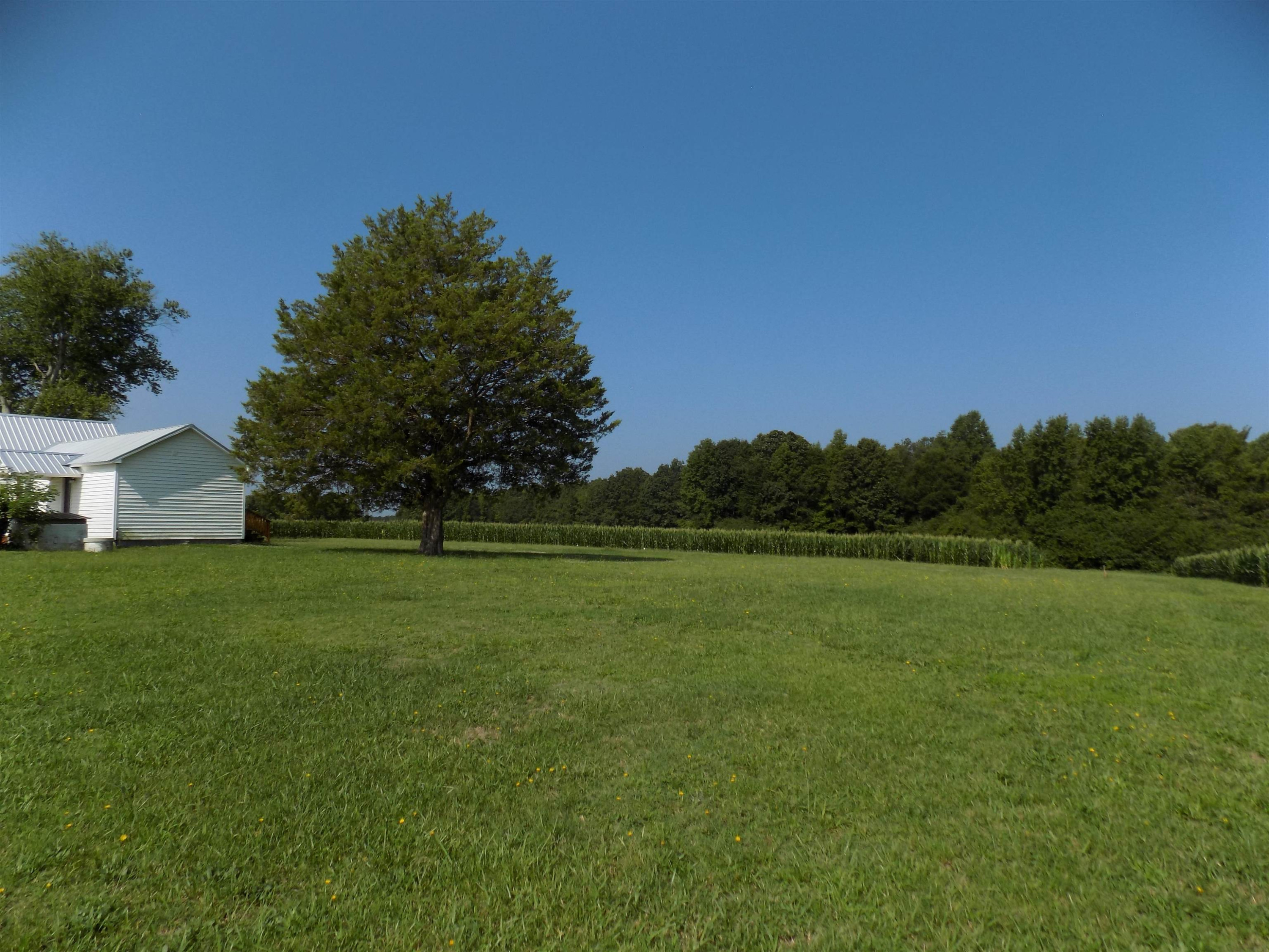 821 Greys Mill Road Louisburg, NC 27549 - Photo 9 of 33 a view of a big yard with a tree
