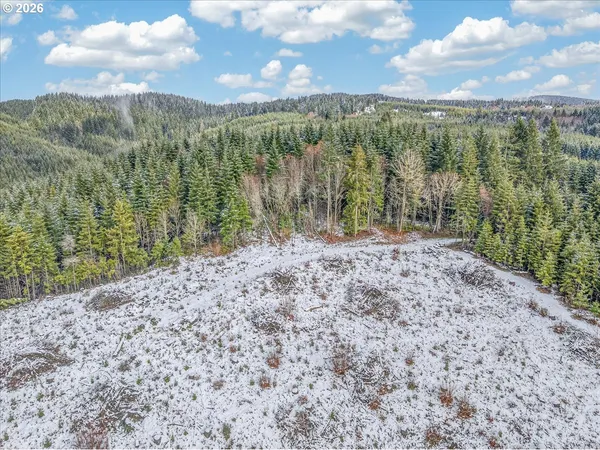 a view of a bunch of trees