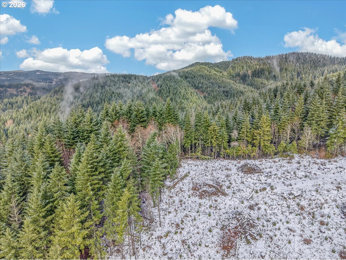 26875 Northwest Bacona Road Buxton, OR 97109 - Photo 12 of 43 a view of a bunch of trees