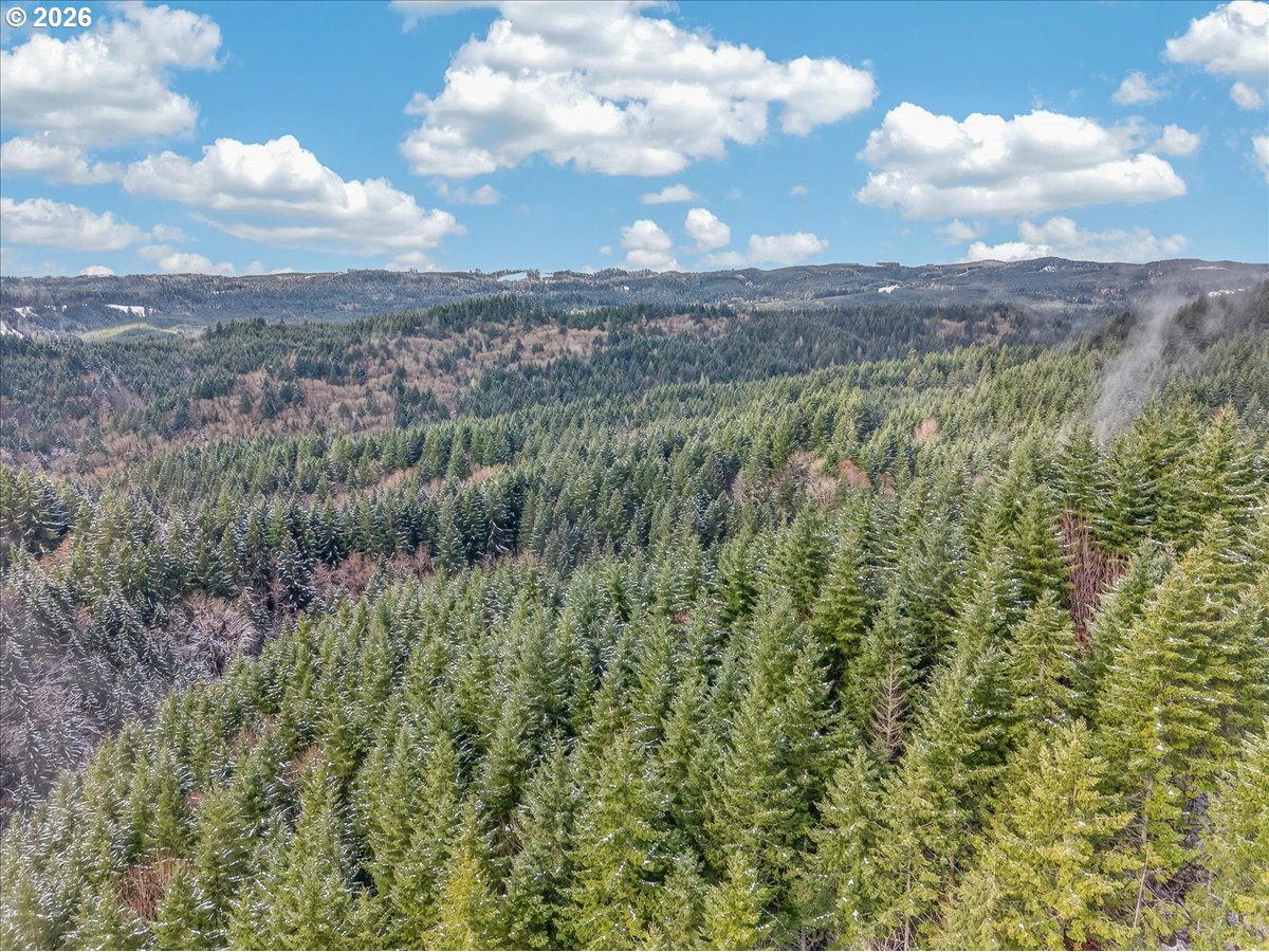 26875 Northwest Bacona Road Buxton, OR 97109 - Photo 13 of 43 a view of a city with lush green forest