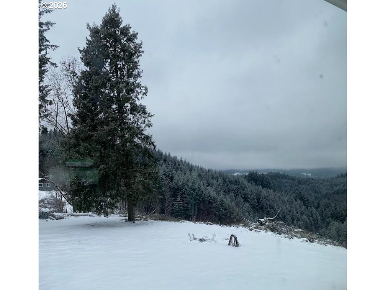 26875 Northwest Bacona Road Buxton, OR 97109 - Photo 6 of 43 a view of a snow covered with snow in the yard