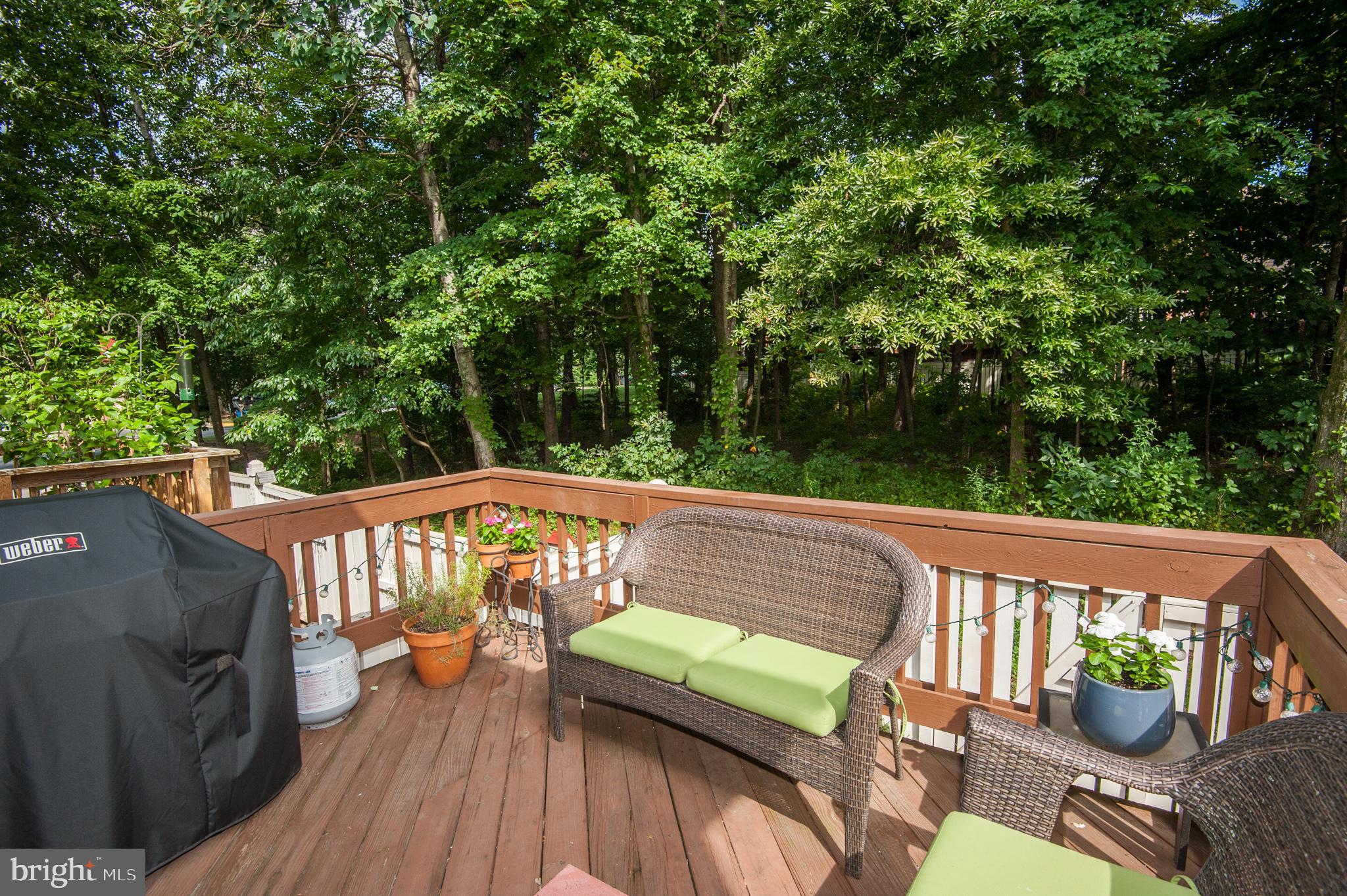 1558 Autumn Ridge Circle Reston, VA 20194 - Photo 22 of 46
