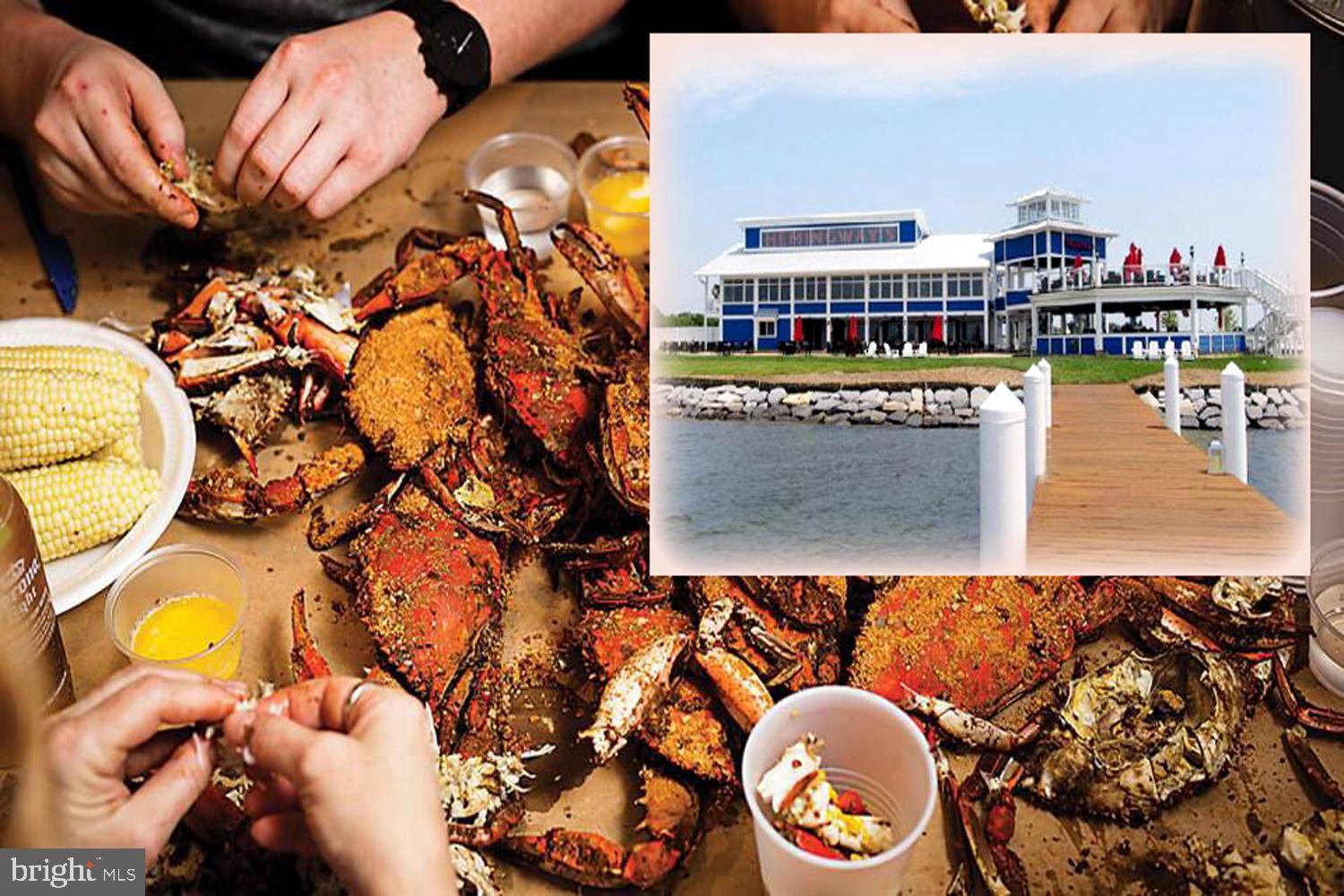 335 Tennessee Road Stevensville, MD 21666 - Photo 31 of 34 Crack Crabs at Daily Catch Restaurants!