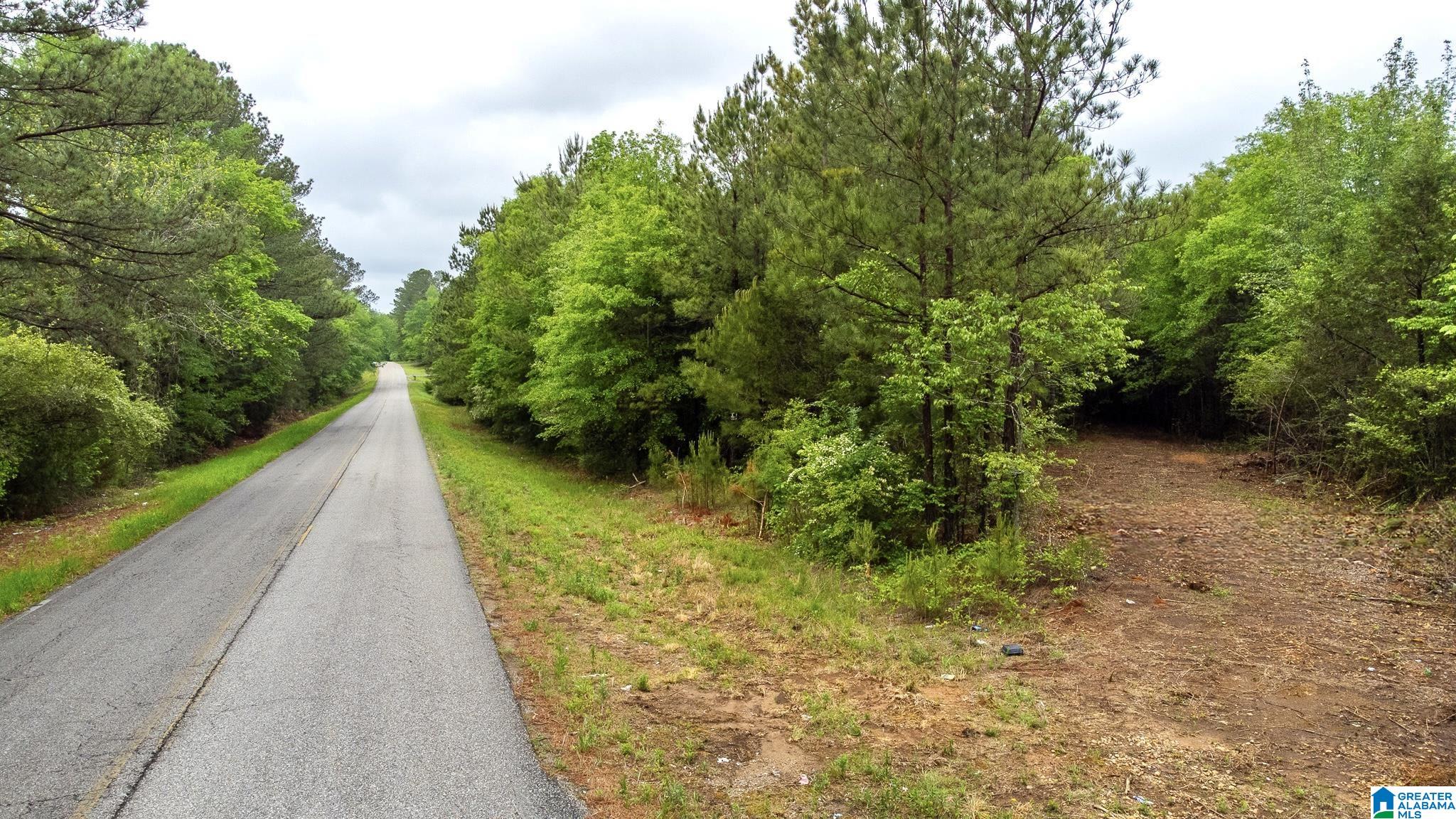 0 Cove Access Road, Unit 28 Talladega, AL 35160 - Photo 5 of 12