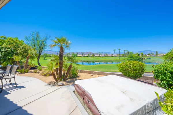 a view of a backyard with plants and palm trees