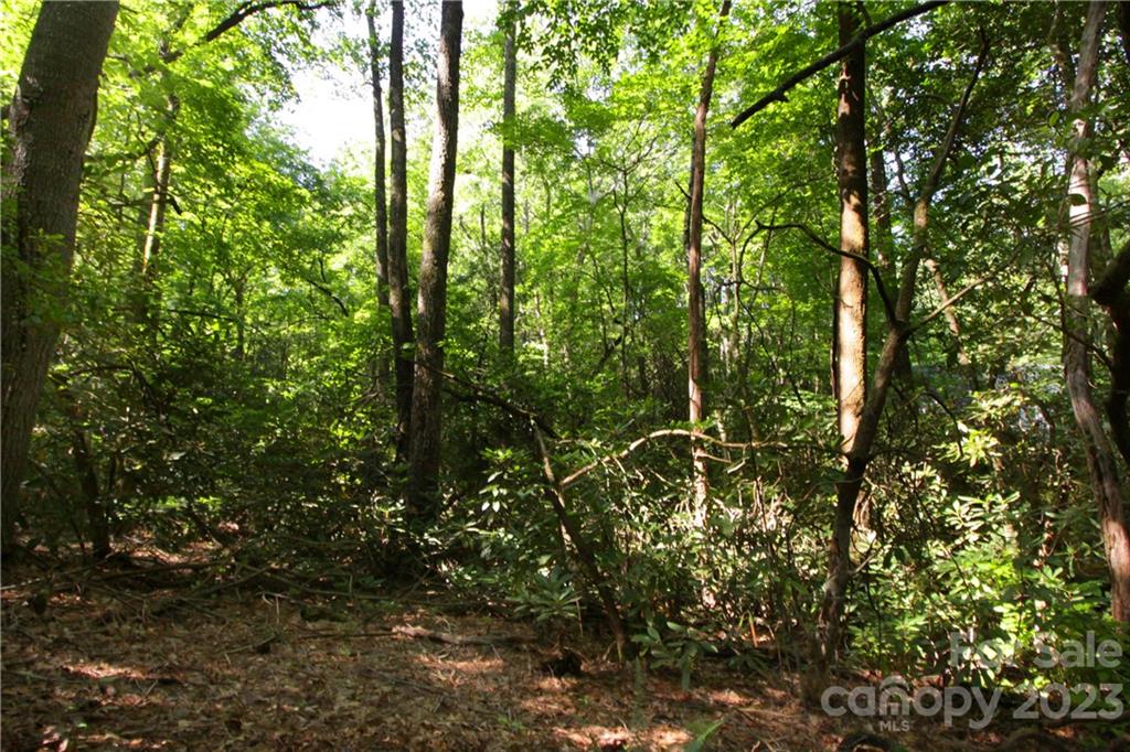 Lot 13 Laurel Ridge Road, Unit 13 Pisgah Forest, NC 28768 - Photo 1 of 16 Gallery Image 1