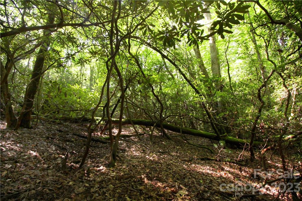 Lot 13 Laurel Ridge Road, Unit 13 Pisgah Forest, NC 28768 - Photo 12 of 16 Gallery Image 12