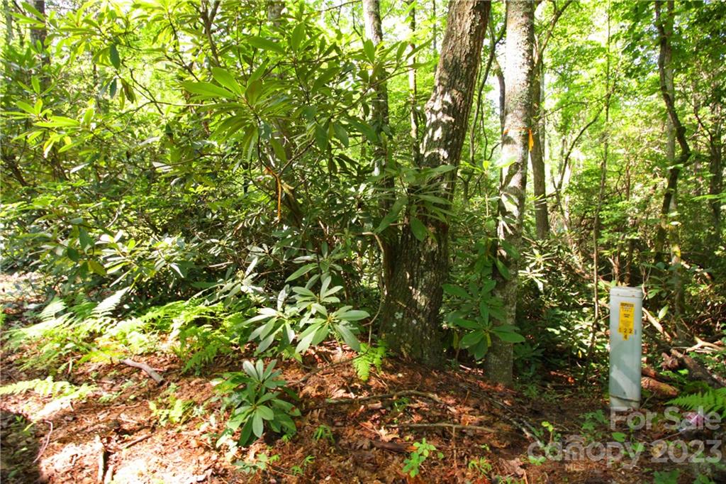 Lot 13 Laurel Ridge Road, Unit 13 Pisgah Forest, NC 28768 - Photo 14 of 16 Gallery Image 14
