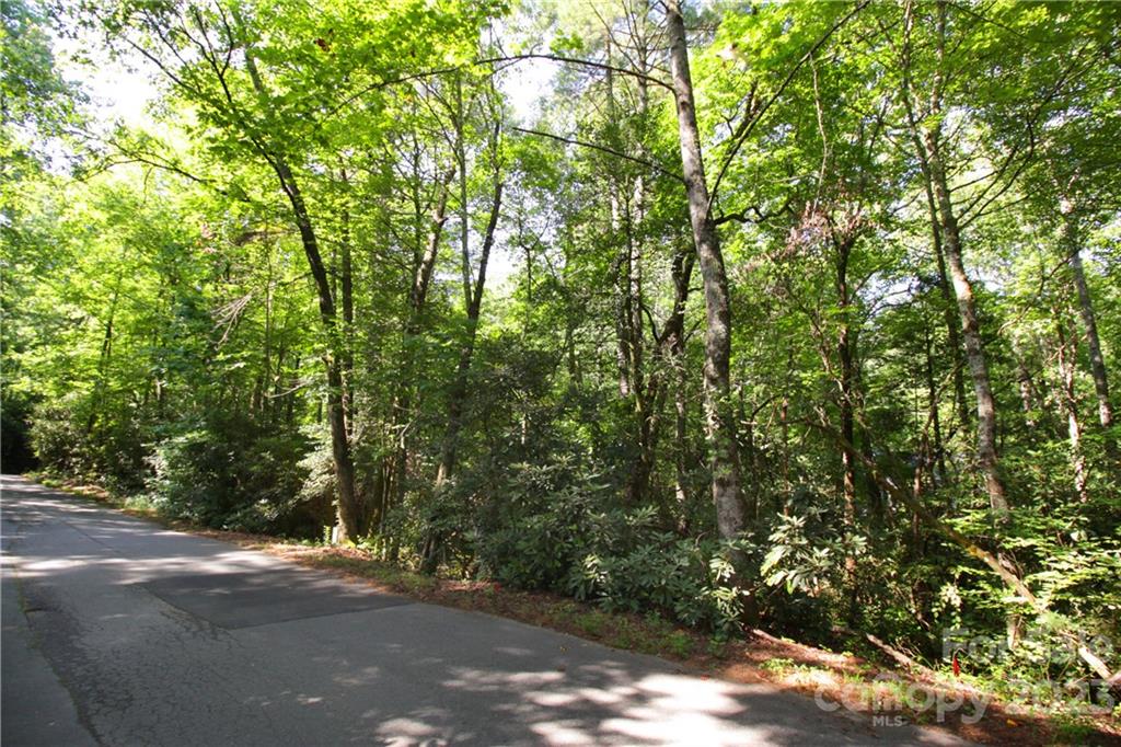 Lot 13 Laurel Ridge Road, Unit 13 Pisgah Forest, NC 28768 - Photo 15 of 16 Gallery Image 15