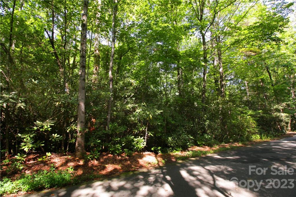 Lot 13 Laurel Ridge Road, Unit 13 Pisgah Forest, NC 28768 - Photo 16 of 16 Gallery Image 16