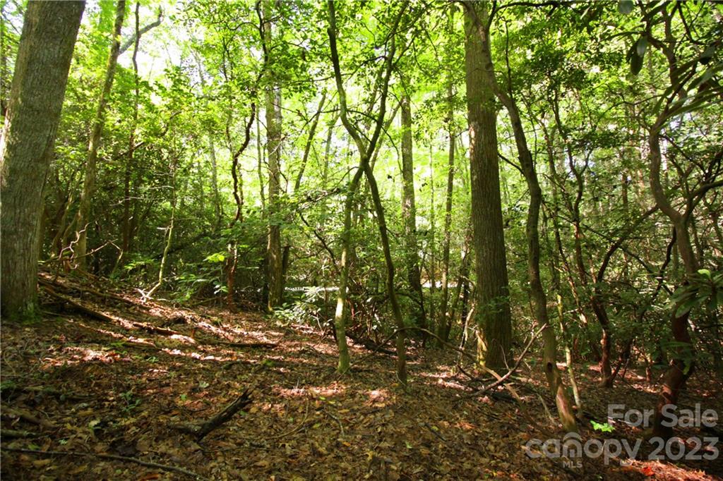 Lot 13 Laurel Ridge Road, Unit 13 Pisgah Forest, NC 28768 - Photo 2 of 16 Gallery Image 2