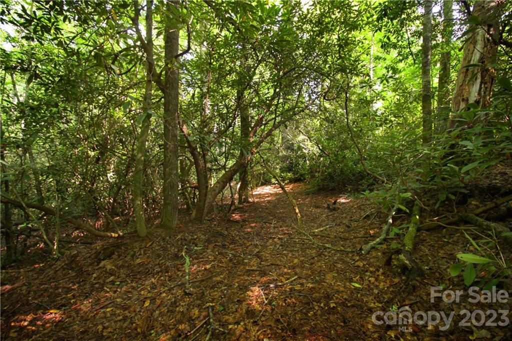 Lot 13 Laurel Ridge Road, Unit 13 Pisgah Forest, NC 28768 - Photo 5 of 16 Gallery Image 5