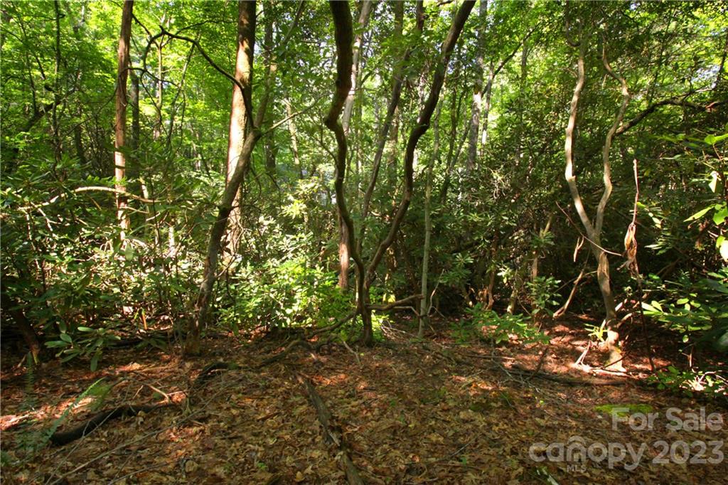 Lot 13 Laurel Ridge Road, Unit 13 Pisgah Forest, NC 28768 - Photo 6 of 16 Gallery Image 6
