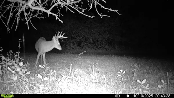 $599,900 | 3684 Bell Bridge Road, Oconto, WI 54153