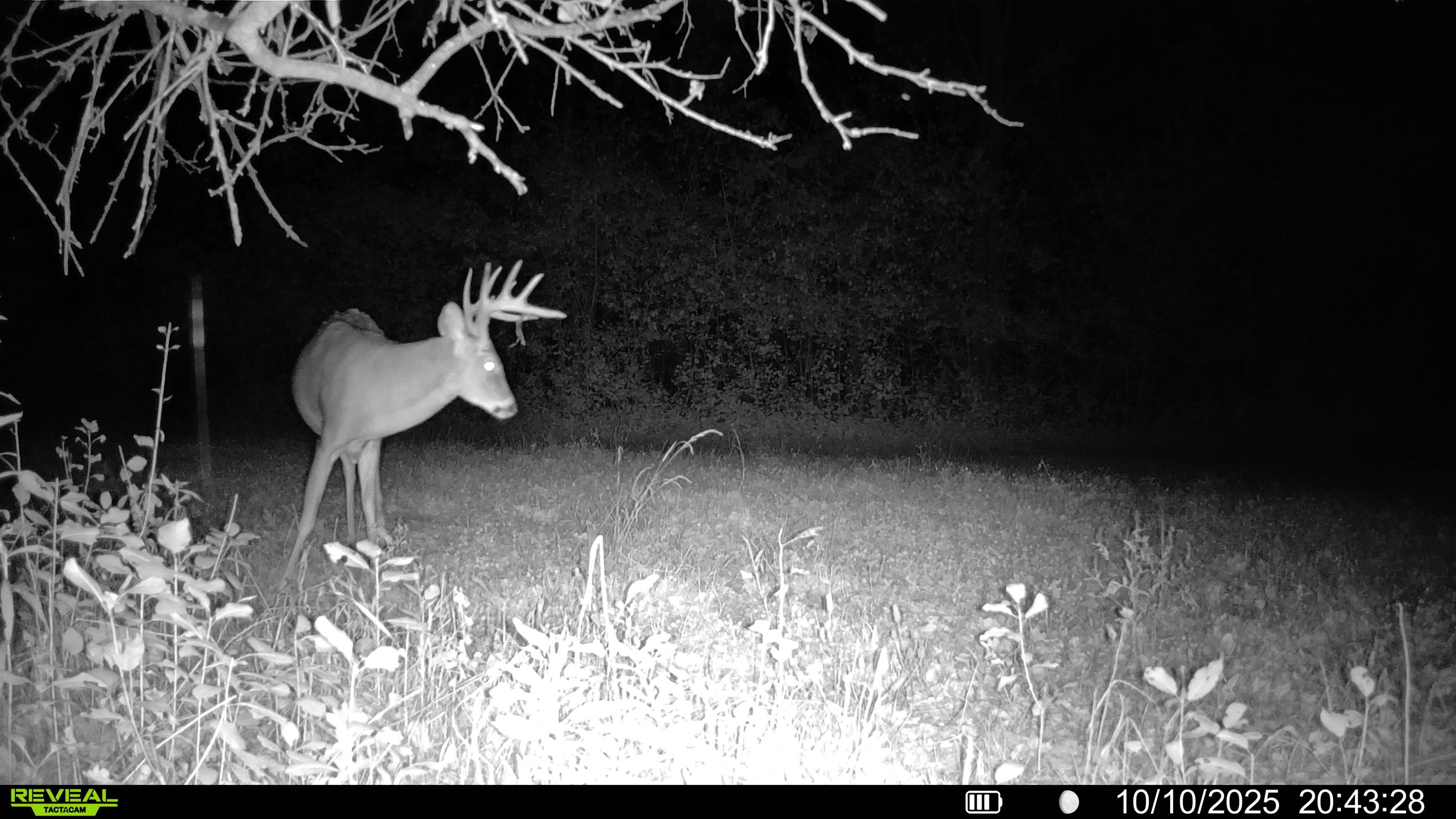 3684 Bell Bridge Road Oconto, WI 54153 - Photo 36 of 39