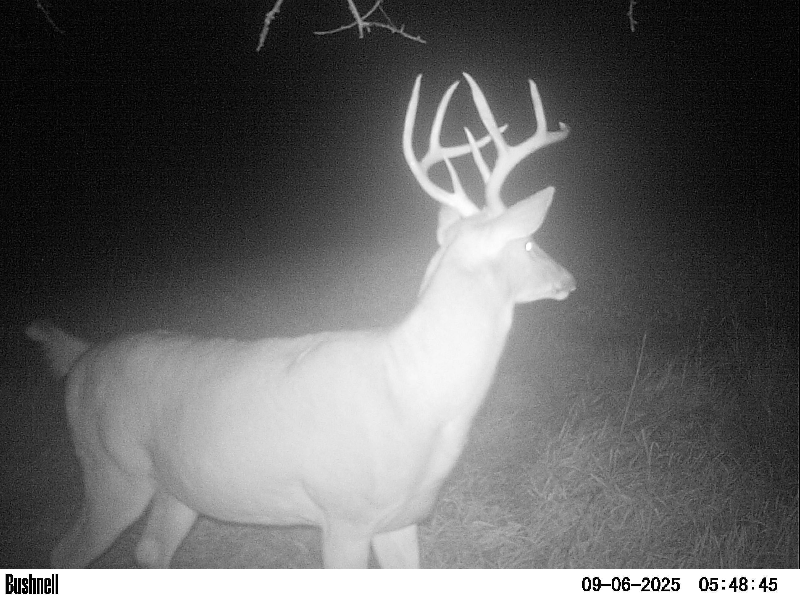 3684 Bell Bridge Road Oconto, WI 54153 - Photo 37 of 39