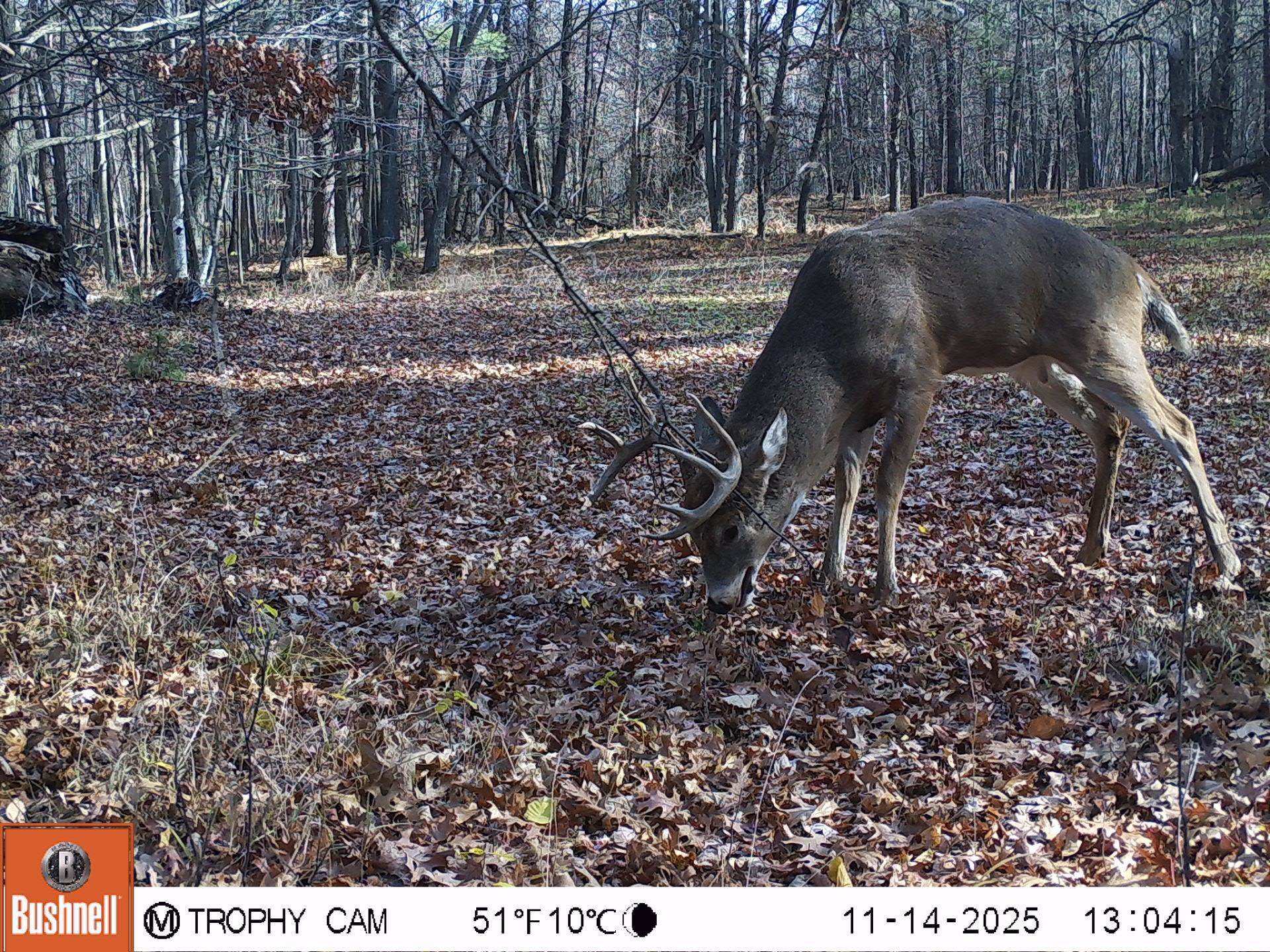 3684 Bell Bridge Road Oconto, WI 54153 - Photo 38 of 39