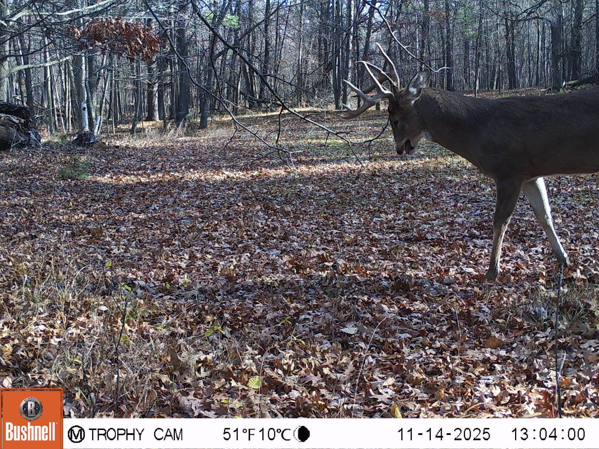 3684 Bell Bridge Road Oconto, WI 54153 - Photo 39 of 39