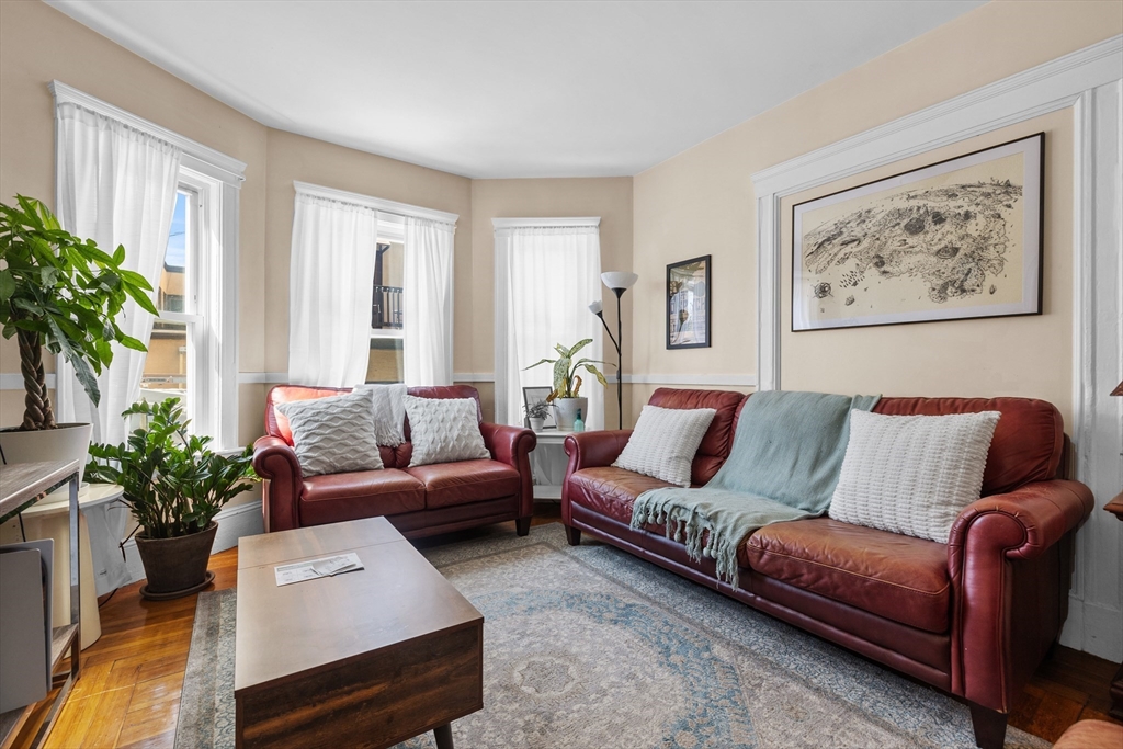 7 Simpson Avenue Somerville, MA 02144 - Photo 4 of 36 a living room with furniture and a potted plant