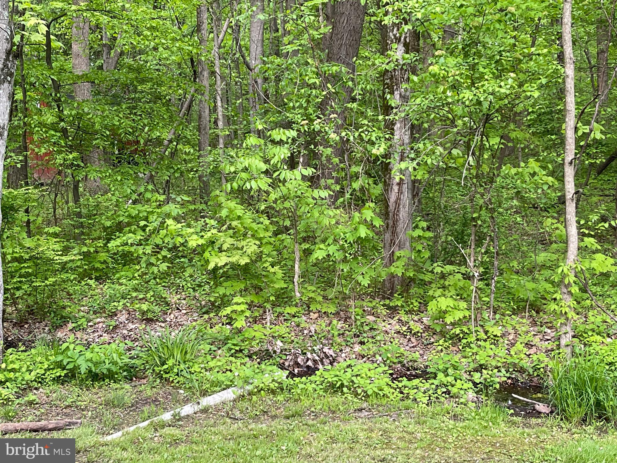 2245 Mill Hill Road Quakertown, PA 18951 - Photo 29 of 35 Gallery Image 29