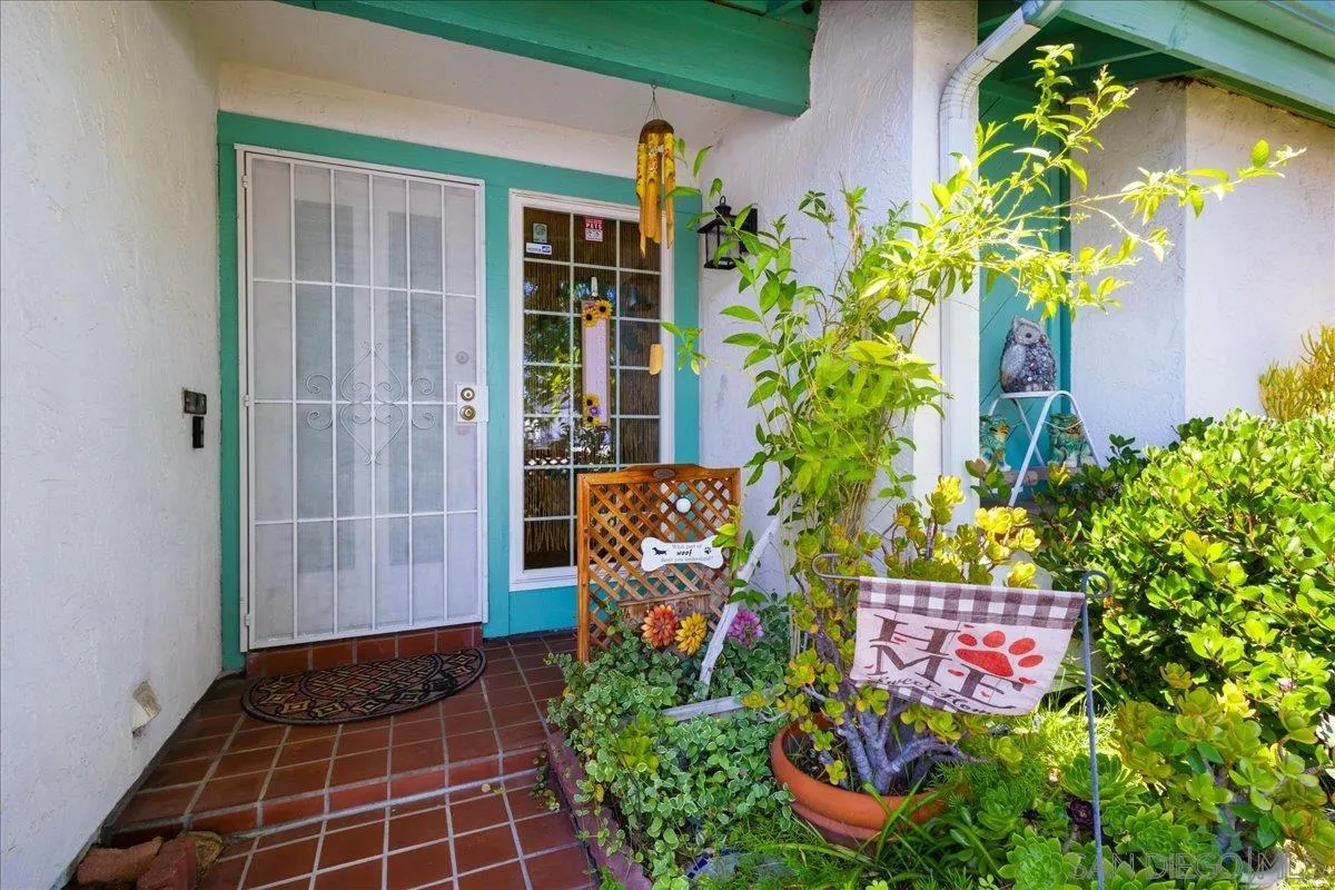 10738 2nd Street Santee, CA 92071 - Photo 40 of 52 a close up of a potted plant