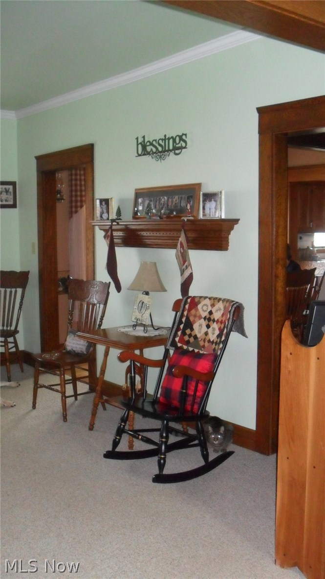 5248 Rochester Road Homeworth, OH 44634 - Photo 13 of 33 Gallery Image 13