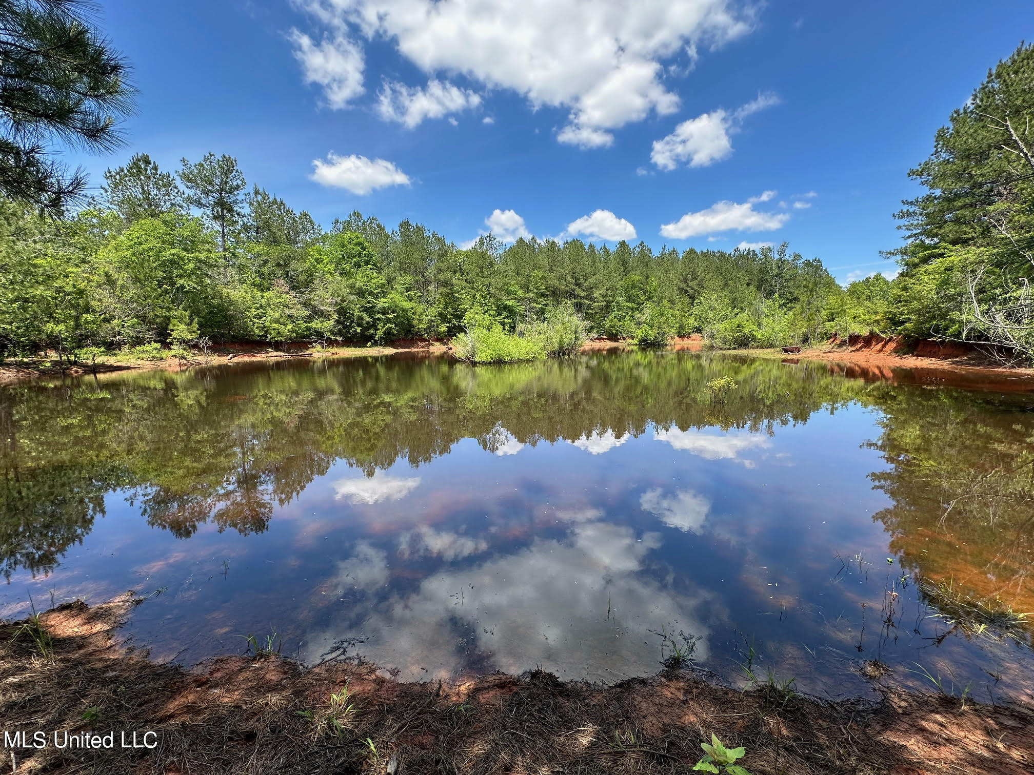 2 Mt Zion Road Magee, MS 39111 - Photo 1 of 35 Pond