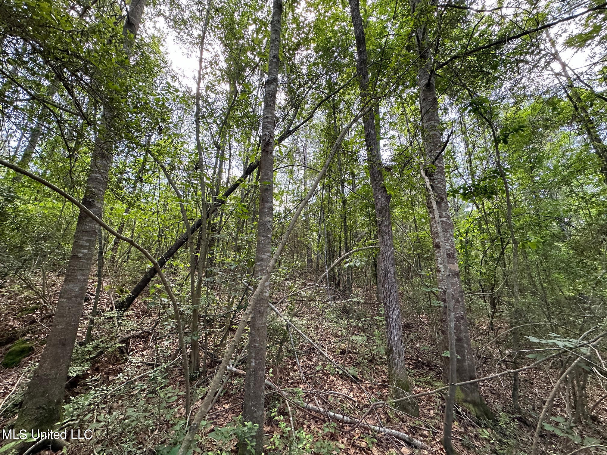 2 Mt Zion Road Magee, MS 39111 - Photo 12 of 35 16