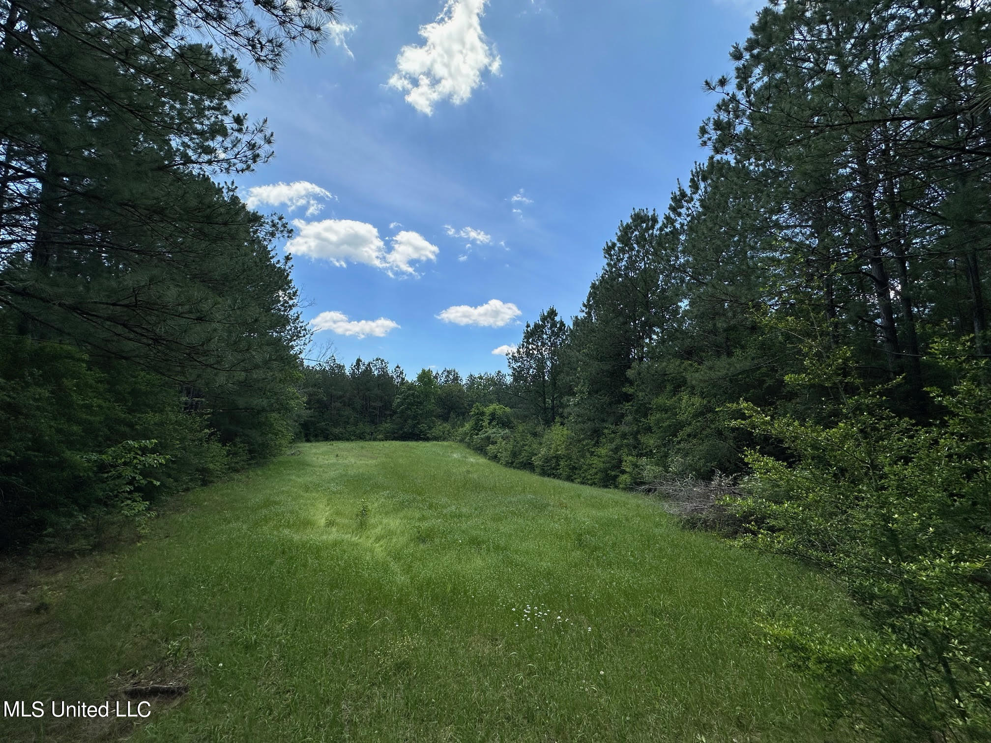 2 Mt Zion Road Magee, MS 39111 - Photo 14 of 35 18