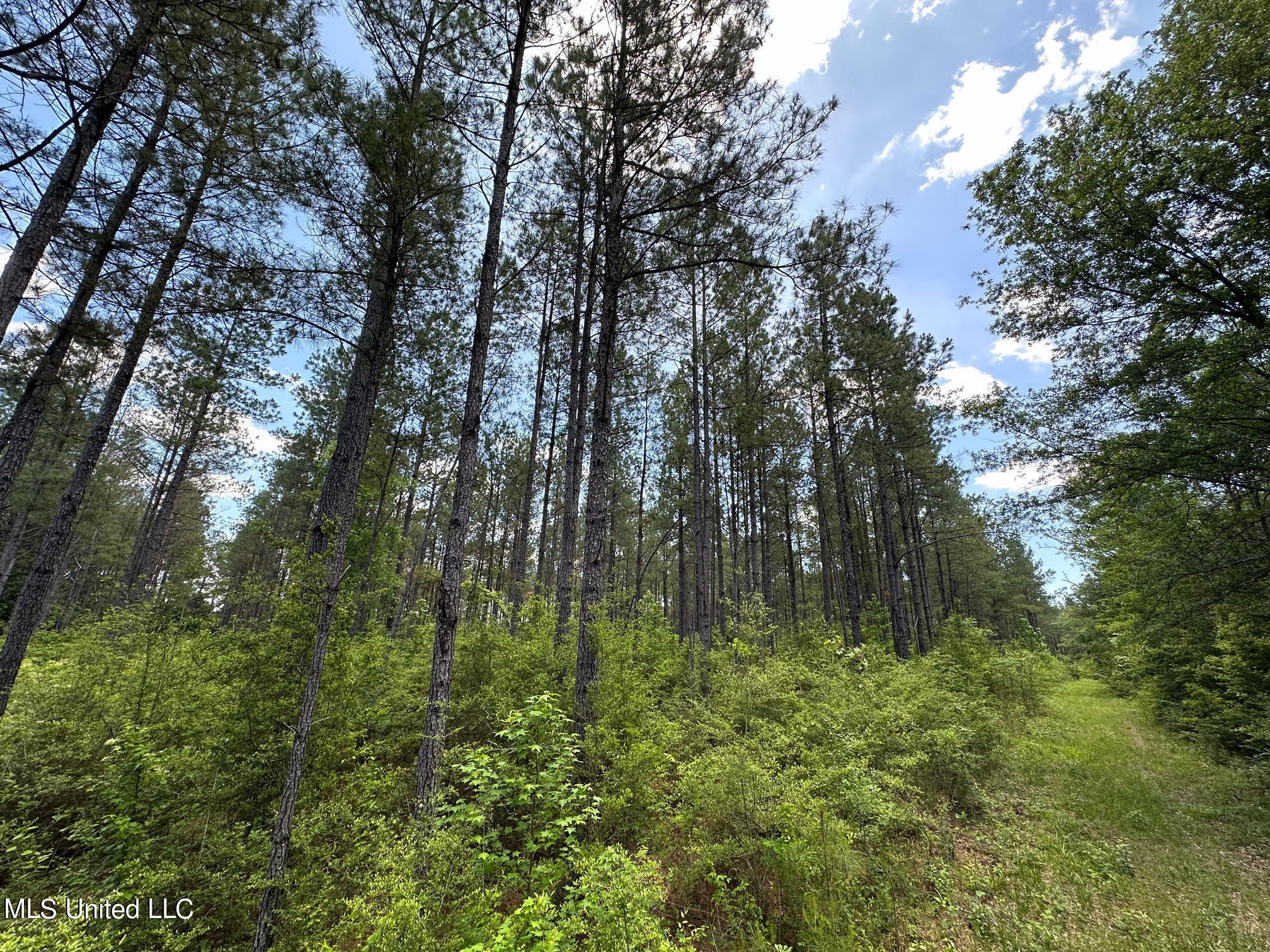 2 Mt Zion Road Magee, MS 39111 - Photo 15 of 35 19