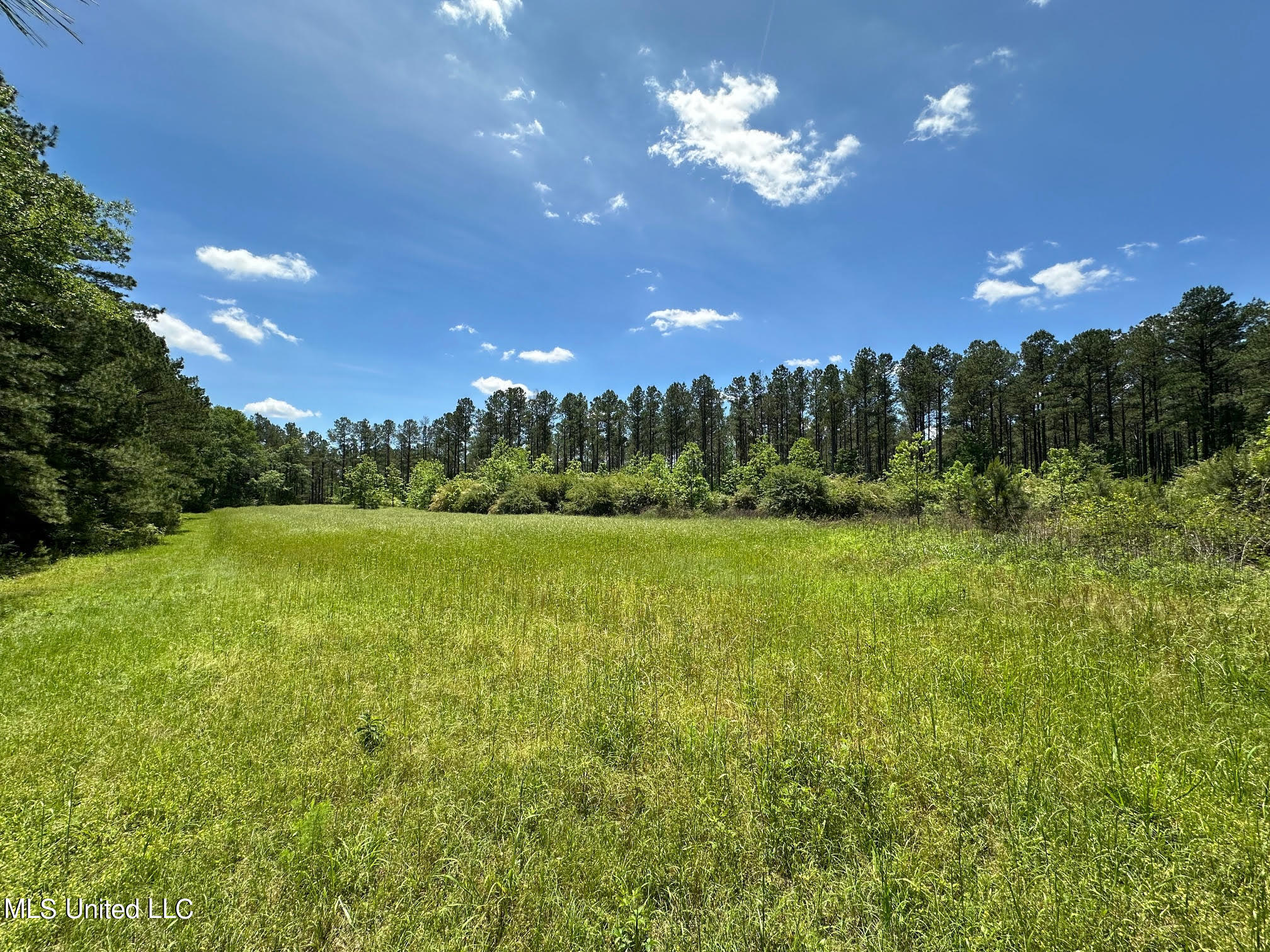 2 Mt Zion Road Magee, MS 39111 - Photo 17 of 35 22