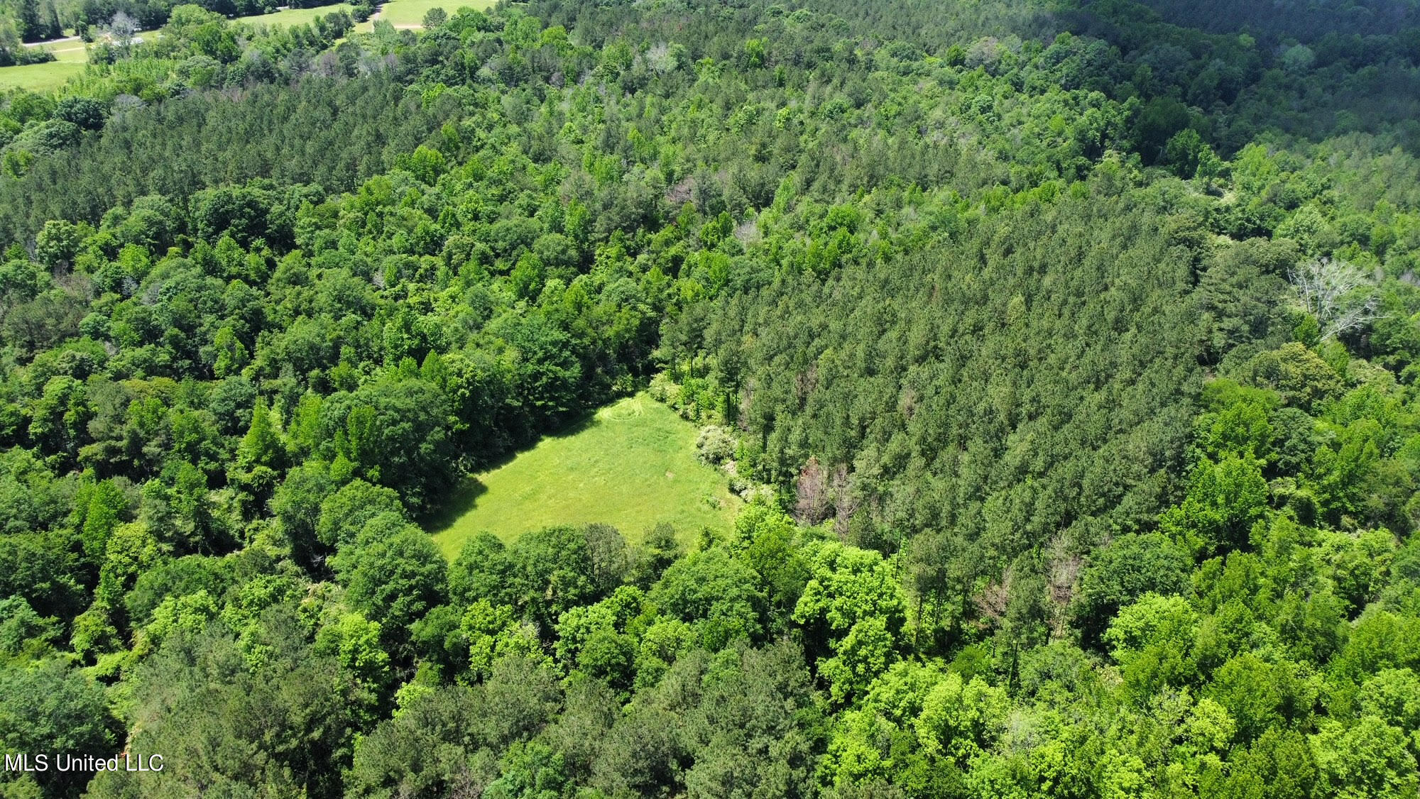 2 Mt Zion Road Magee, MS 39111 - Photo 21 of 35 44