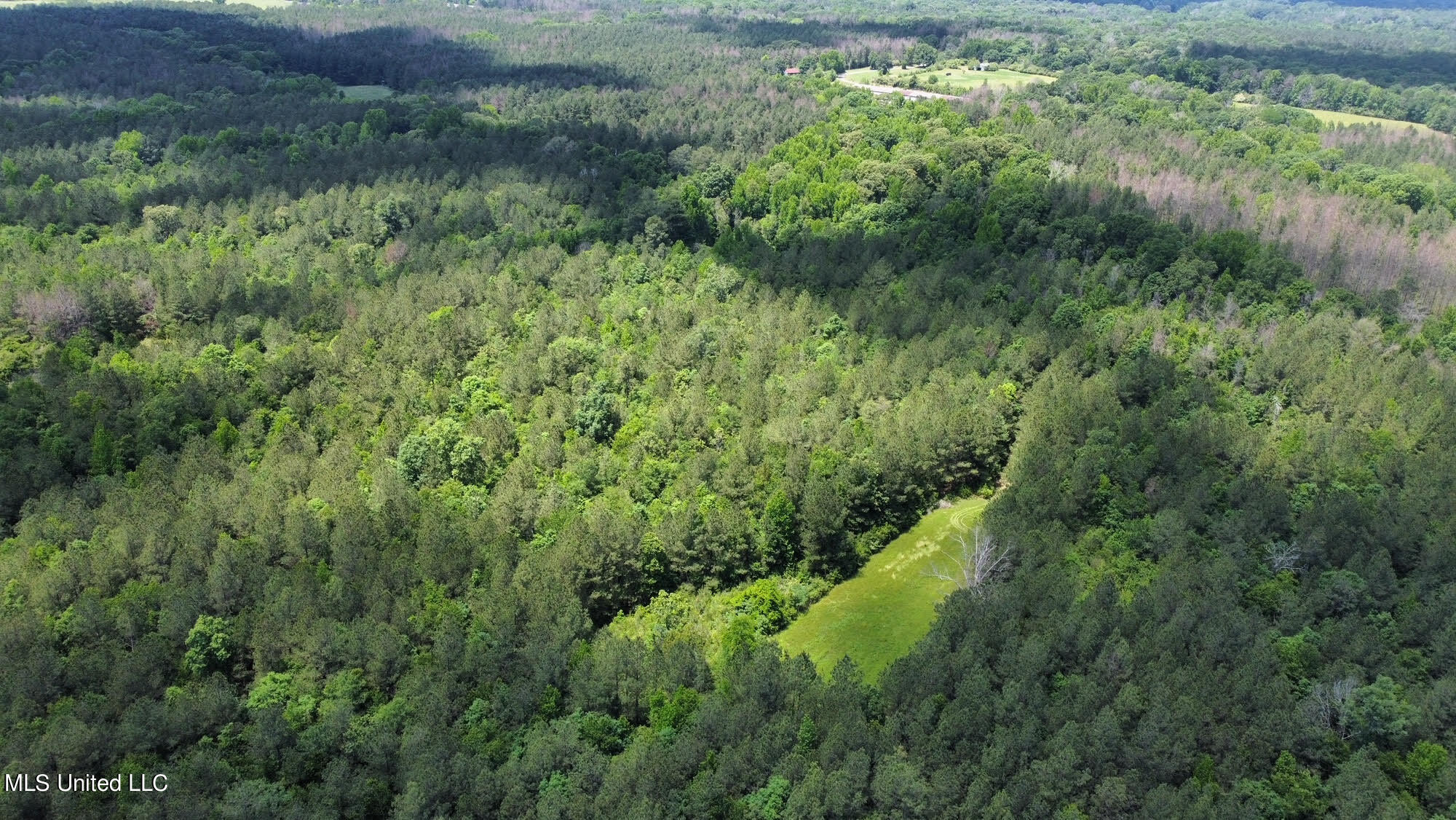 2 Mt Zion Road Magee, MS 39111 - Photo 23 of 35 46