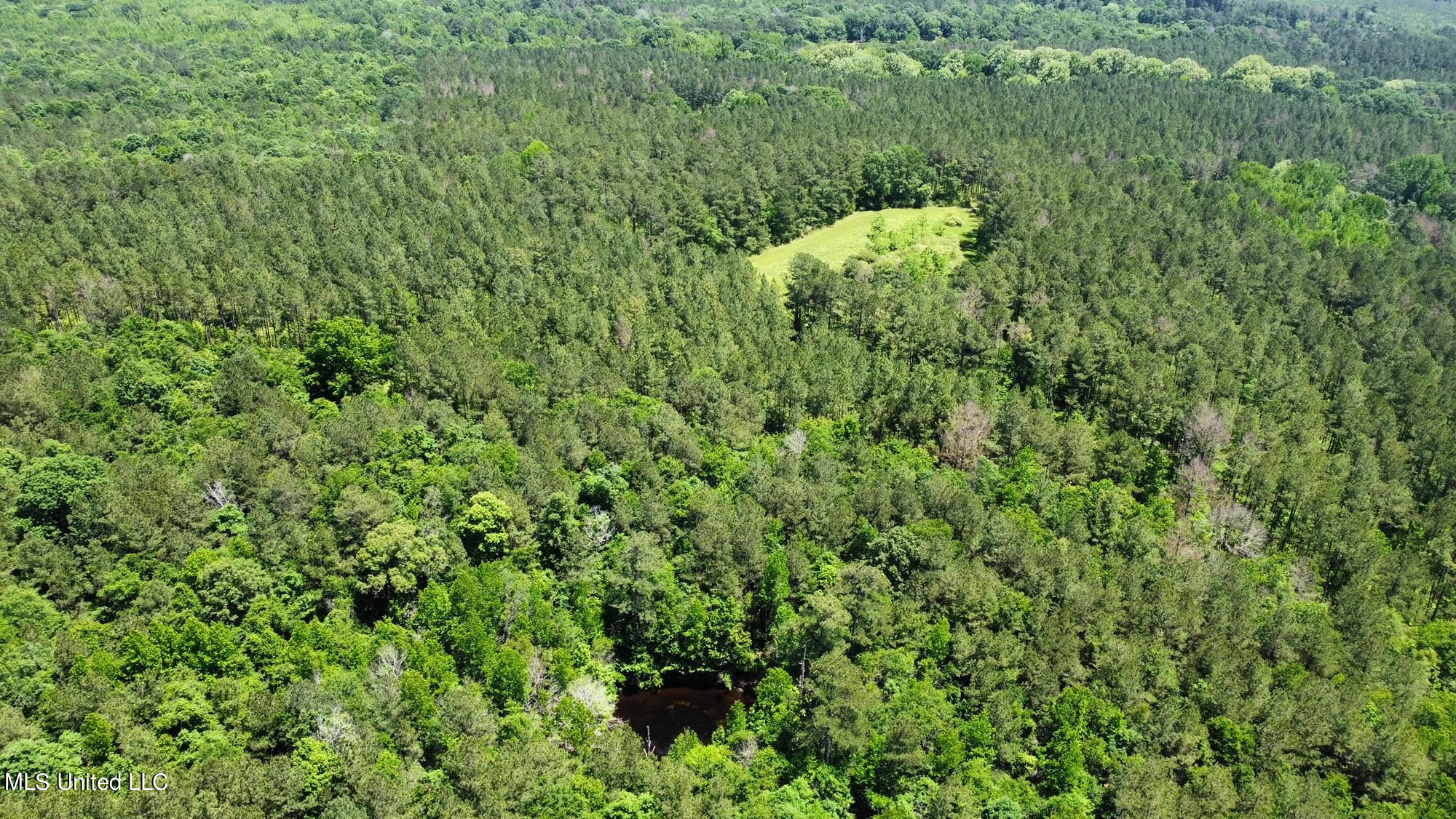 2 Mt Zion Road Magee, MS 39111 - Photo 25 of 35 48
