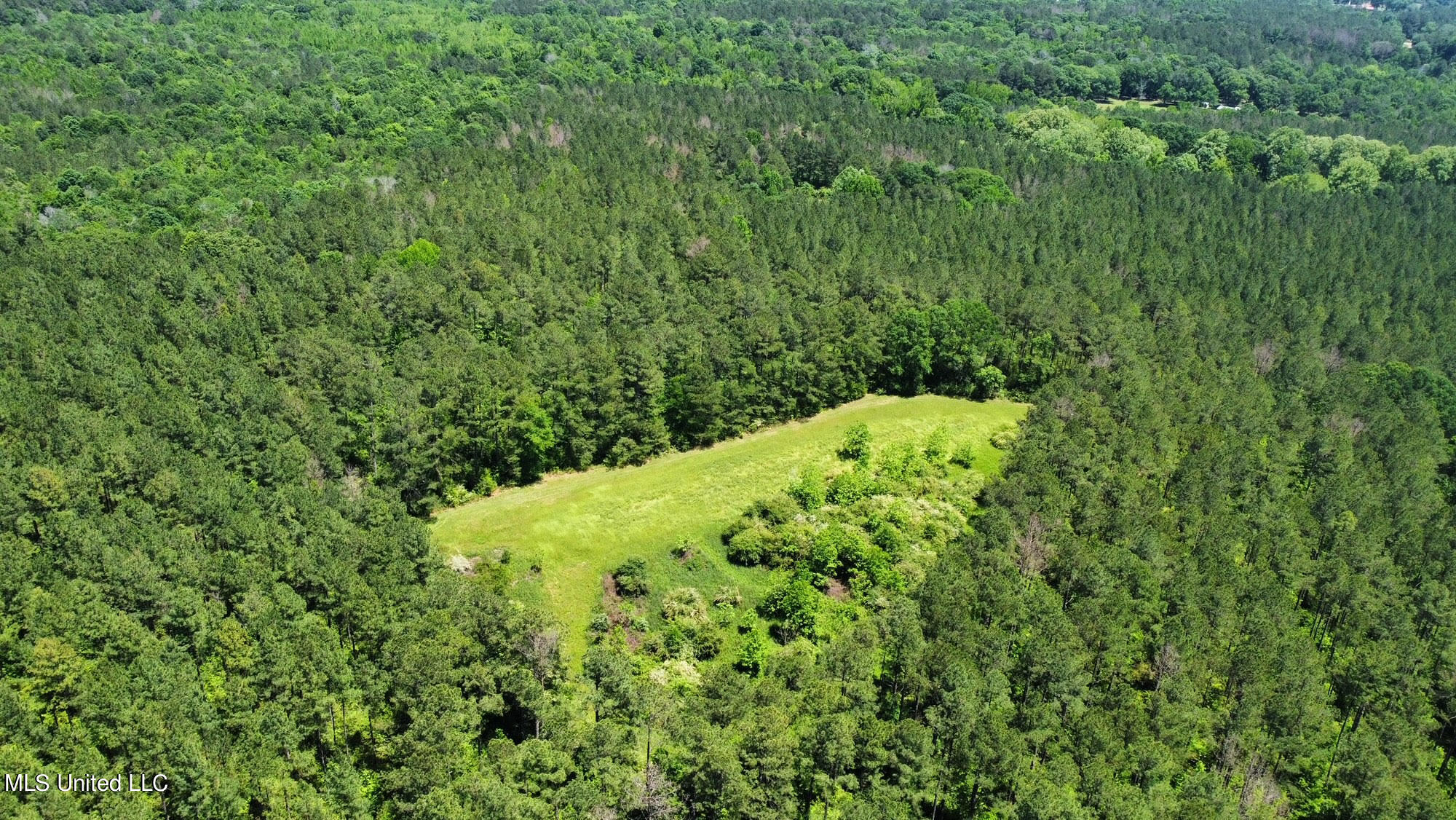 2 Mt Zion Road Magee, MS 39111 - Photo 26 of 35 51